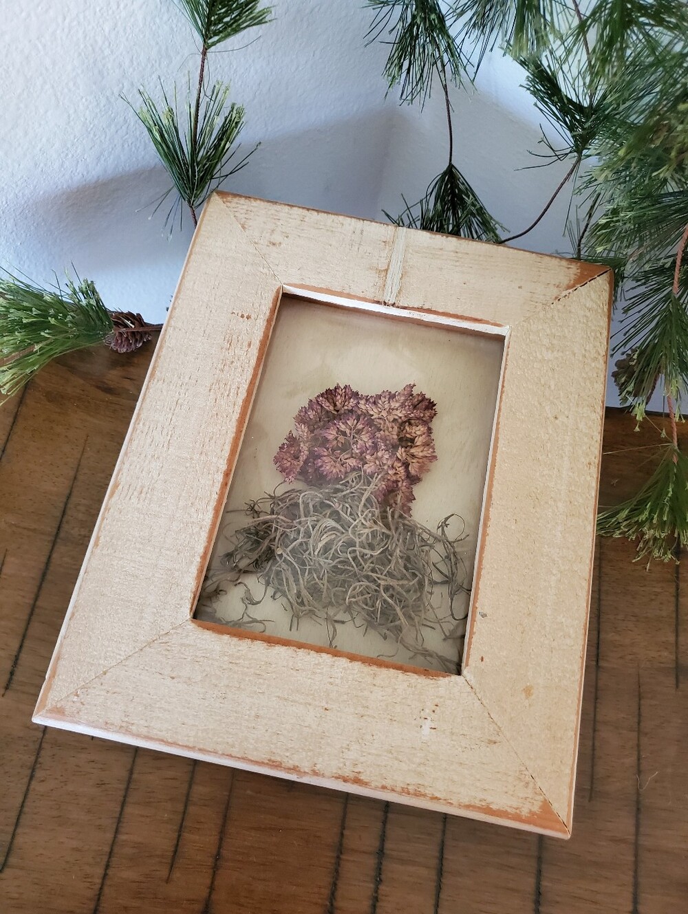 Rustic Framed Dried Pink Flower Shadow Box Botanical Wall Art 8x10